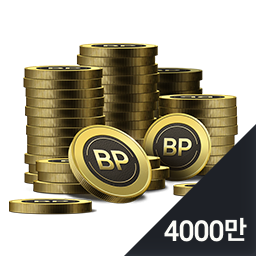 BP 카드 4000만