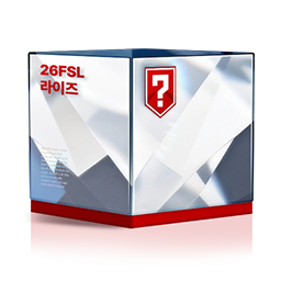 26FSL 라이즈 상자